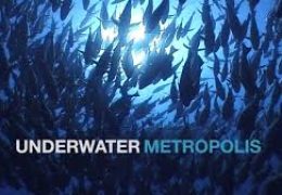 Film : „Podvodni metropolis“- dokumentarni serijal